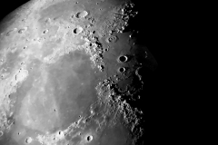 IMG_6775