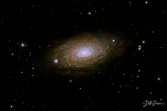 M63-Crop-copy